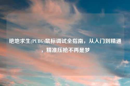 绝地求生(PUBG)鼠标调试全指南，从入门到精通，精准压枪不再是梦
