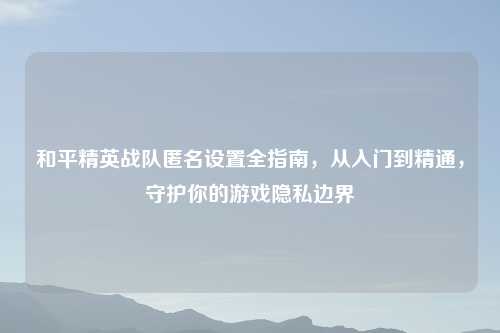 和平精英战队匿名设置全指南，从入门到精通，守护你的游戏隐私边界