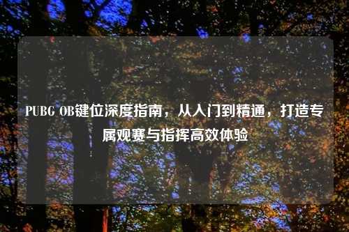 PUBG OB键位深度指南，从入门到精通，打造专属观赛与指挥高效体验