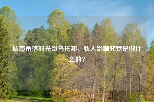 城市角落的光影乌托邦，私人影咖究竟是做什么的？