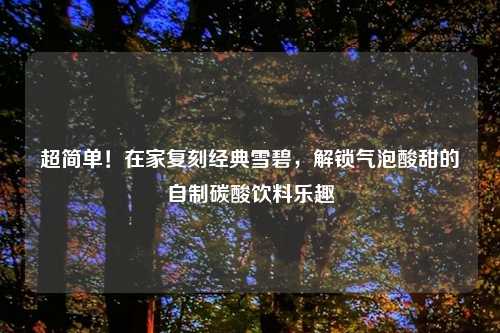 超简单！在家复刻经典雪碧，解锁气泡酸甜的自制碳酸饮料乐趣