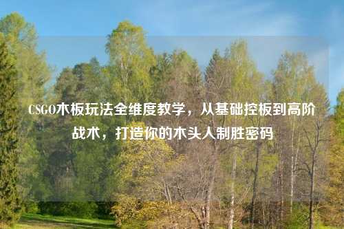 CSGO木板玩法全维度教学，从基础控板到高阶战术，打造你的木头人制胜密码