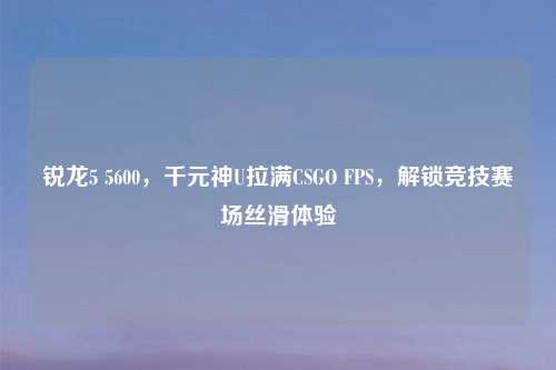 锐龙5 5600，千元神U拉满CSGO FPS，解锁竞技赛场丝滑体验