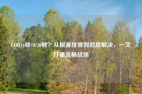 COD16锁10/30帧？从根源排查到彻底解决，一文打通流畅战场