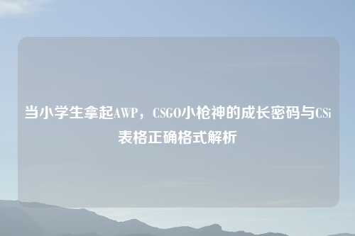 当小学生拿起AWP，CSGO小枪神的成长密码与CSi表格正确格式解析