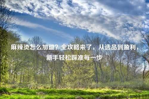 麻辣烫怎么加盟？全攻略来了，从选品到盈利，新手轻松踩准每一步