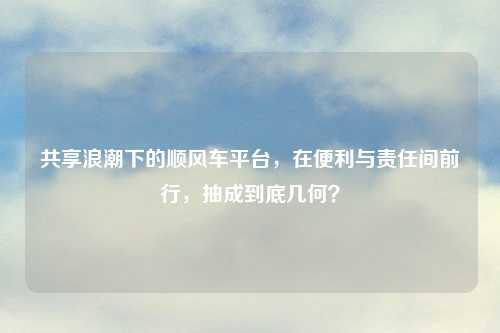 共享浪潮下的顺风车平台，在便利与责任间前行，抽成到底几何？