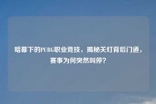 暗幕下的PUBG职业竞技，揭秘关灯背后门道，赛事为何突然叫停？