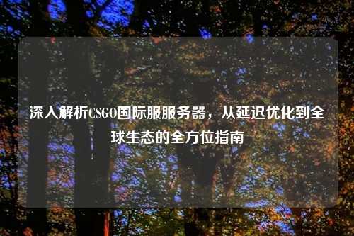 深入解析CSGO国际服服务器，从延迟优化到全球生态的全方位指南
