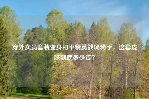 穿外卖员套装变身和平精英战场骑手，这套皮肤到底多少钱？