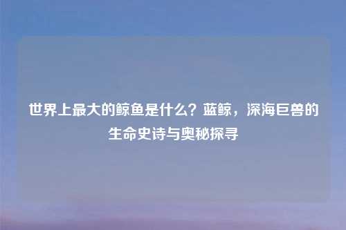 世界上更大的鲸鱼是什么？蓝鲸，深海巨兽的生命史诗与奥秘探寻