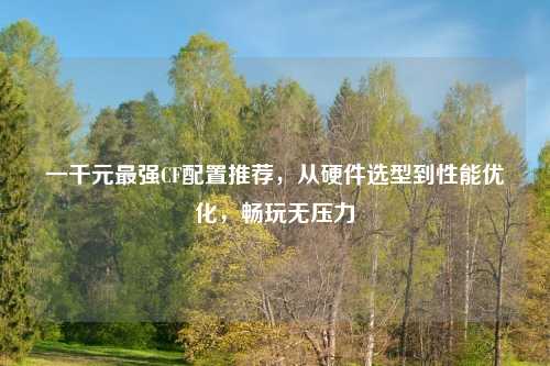 一千元最强CF配置推荐，从硬件选型到性能优化，畅玩无压力