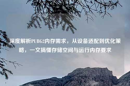 深度解析PUBG2内存需求，从设备适配到优化策略，一文搞懂存储空间与运行内存要求
