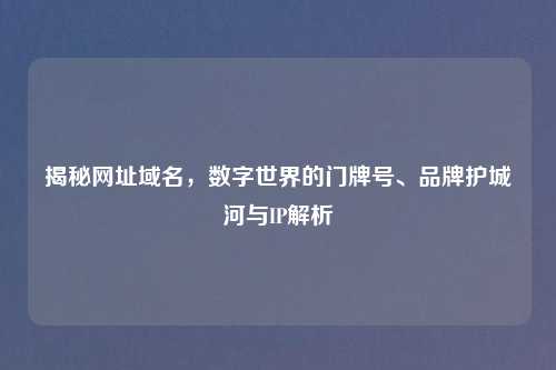 揭秘网址域名，数字世界的门牌号、品牌护城河与IP解析