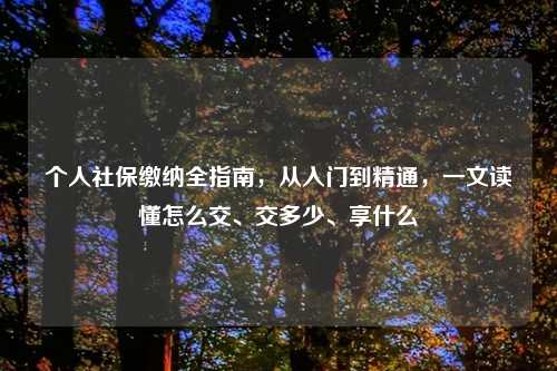 个人社保缴纳全指南，从入门到精通，一文读懂怎么交、交多少、享什么