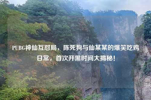 PUBG神仙互怼局，陈死狗与仙某某的爆笑吃鸡日常，首次开黑时间大揭秘！