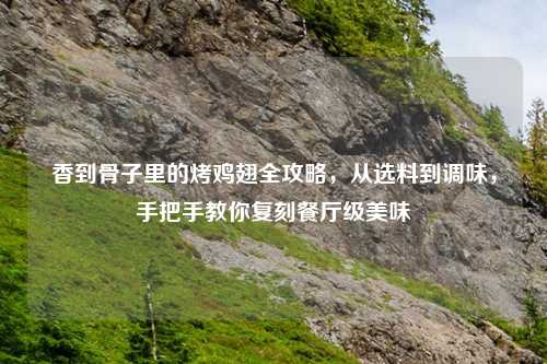 香到骨子里的烤鸡翅全攻略，从选料到调味，手把手教你复刻餐厅级美味