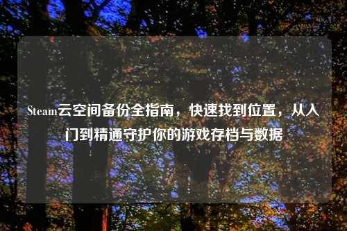 Steam云空间备份全指南，快速找到位置，从入门到精通守护你的游戏存档与数据