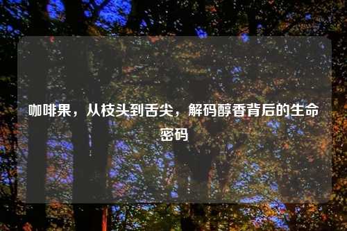咖啡果，从枝头到舌尖，解码醇香背后的生命密码