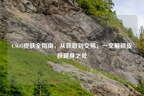 CSGO皮肤全指南，从获取到交易，一文解锁皮肤藏身之处