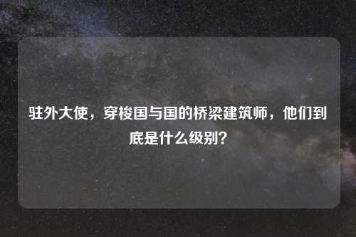 驻外大使，穿梭国与国的桥梁建筑师，他们到底是什么级别？