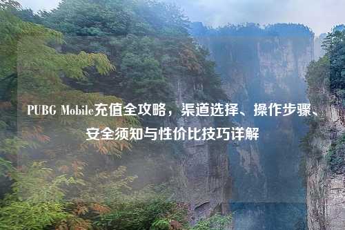 PUBG Mobile充值全攻略，渠道选择、操作步骤、安全须知与性价比技巧详解