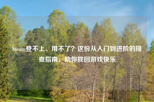Steam登不上、用不了？这份从入门到进阶的排查指南，助你找回游戏快乐