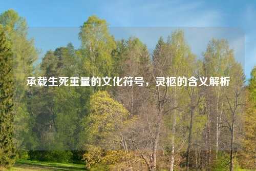 承载生死重量的文化符号，灵柩的含义解析