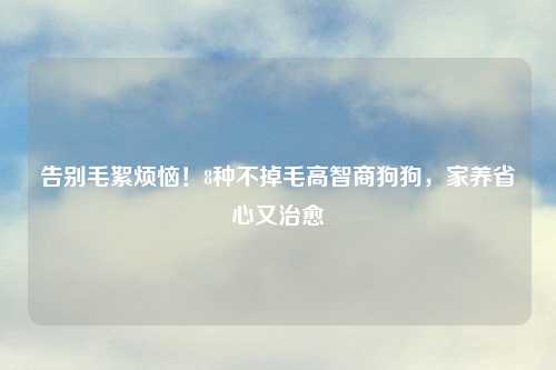 告别毛絮烦恼！8种不掉毛高智商狗狗，家养省心又治愈