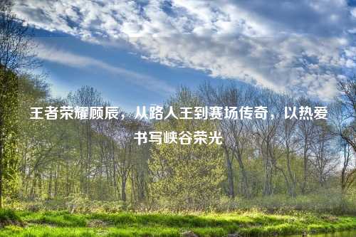 王者荣耀顾辰，从路人王到赛场传奇，以热爱书写峡谷荣光