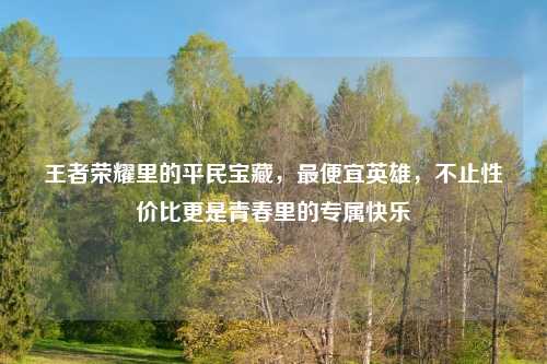 王者荣耀里的平民宝藏，更便宜英雄，不止性价比更是青春里的专属快乐