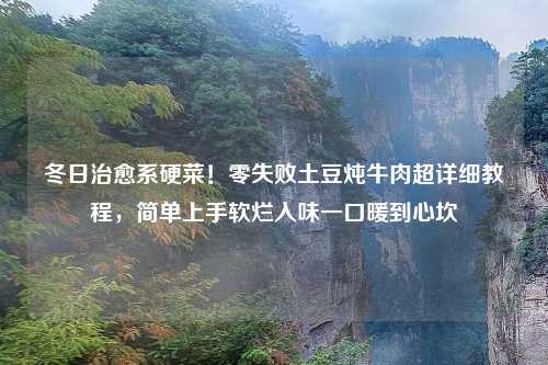 冬日治愈系硬菜！零失败土豆炖牛肉超详细教程，简单上手软烂入味一口暖到心坎