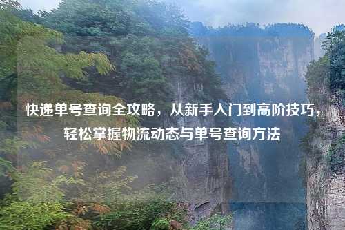 快递单号查询全攻略，从新手入门到高阶技巧，轻松掌握物流动态与单号查询     