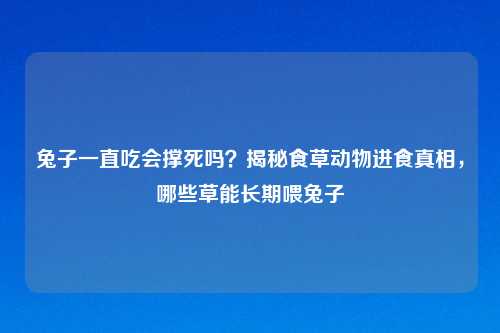 兔子一直吃会撑死吗？揭秘食草动物进食真相，哪些草能长期喂兔子