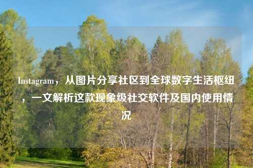 Instagram，从图片分享社区到全球数字生活枢纽，一文解析这款现象级社交软件及国内使用情况