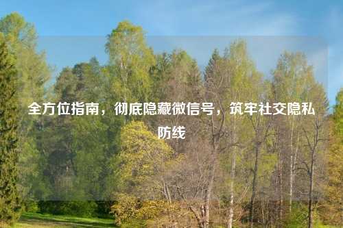全方位指南，彻底隐藏微信号，筑牢社交隐私防线