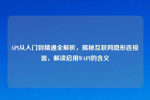 API从入门到精通全解析，揭秘互联网隐形连接器，解读启用WAPI的含义
