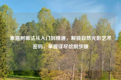 素描树画法从入门到精通，解锁自然光影艺术密码，掌握详尽绘制步骤
