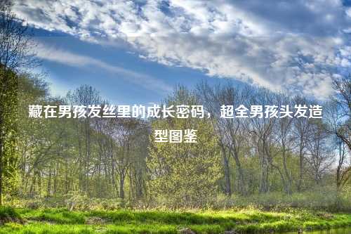 藏在男孩发丝里的成长密码，超全男孩头发造型图鉴