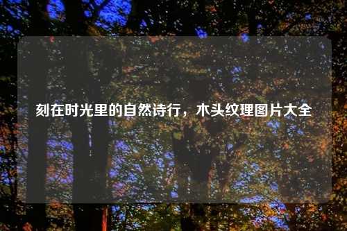刻在时光里的自然诗行，木头纹理图片大全