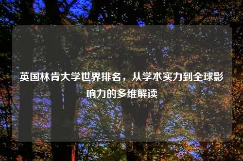 英国林肯大学世界排名，从学术实力到全球影响力的多维解读
