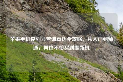 苹果手机序列号查询真伪全攻略，从入门到精通，再也不怕买到翻新机