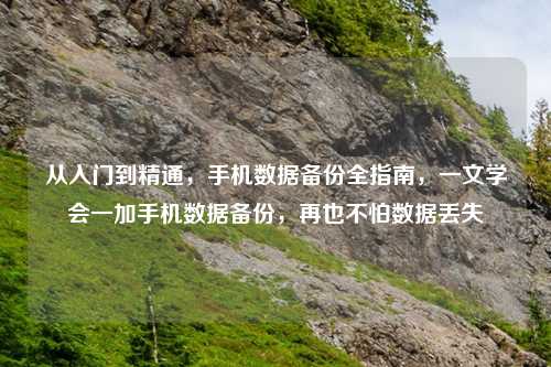 从入门到精通，手机数据备份全指南，一文学会一加手机数据备份，再也不怕数据丢失