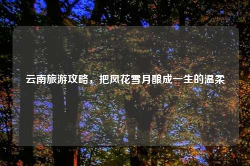 云南旅游攻略，把风花雪月酿成一生的温柔