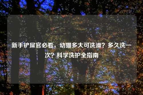 新手铲屎官必看，幼猫多大可洗澡？多久洗一次？科学洗护全指南