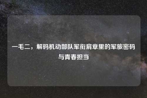 一毛二，解码机动部队军衔肩章里的军旅密码与青春担当