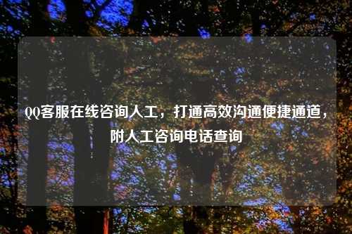           在线咨询人工，打通高效沟通便捷通道，附人工咨询     查询
