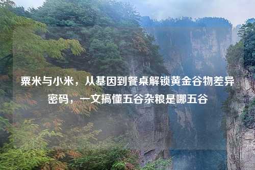 粟米与小米，从基因到餐桌解锁黄金谷物差异密码，一文搞懂五谷杂粮是哪五谷