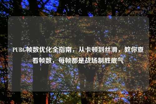 PUBG帧数优化全指南，从卡顿到丝滑，教你查看帧数，每帧都是战场制胜底气