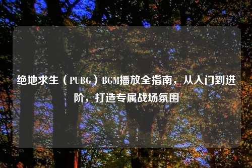 绝地求生（PUBG）BGM播放全指南，从入门到进阶，打造专属战场氛围